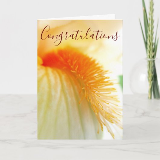 "Congratulations": carte Iris Aiguillée (Devant)