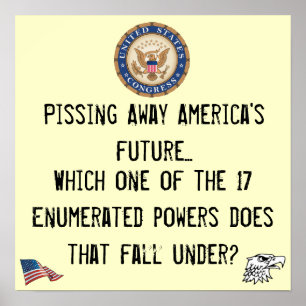Congresbevoegdheden Poster