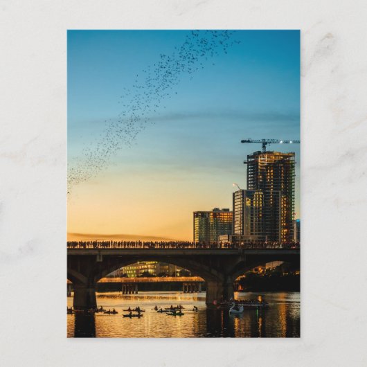 Congress Avenue Bridge Bat Watching Briefkaart (Voorkant)