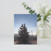 conifer briefkaart (Staand voorkant)