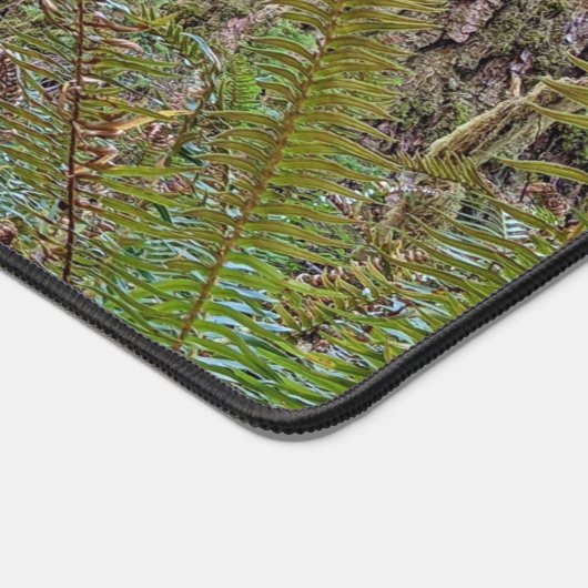 Conifer géant Pacifique Forêt du Nord-Ouest (Coin)