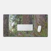 Conifer géant Pacifique Forêt du Nord-Ouest (Clavier et souris)