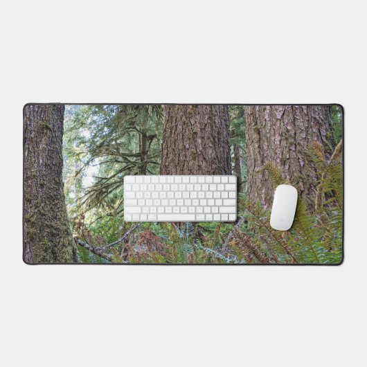 Conifer géant Pacifique Forêt du Nord-Ouest (Clavier et souris)