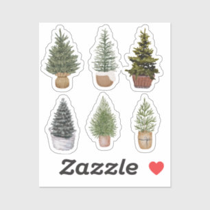 Conifers Sticker