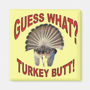 Conjecture ce qui ? Bout de la Turquie !  Aimant