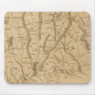 Connecticut 12 muismat