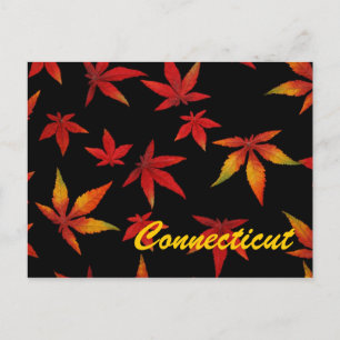 Connecticut Autumn Leaves Briefkaart