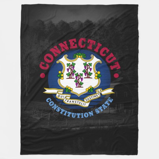CONNECTICUT CONSTITUTION STATE FLAG FLEECE DEKEN (Voorkant)
