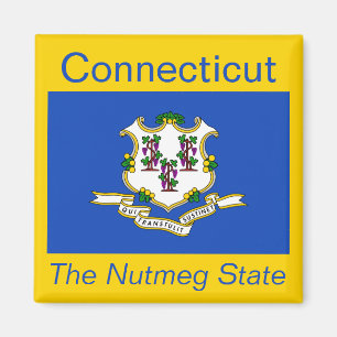 Connecticut Flag Magnet Magneet