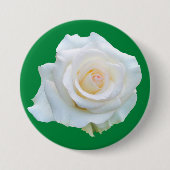 Connecticut Heks Trial Memorial Button (Voorkant)