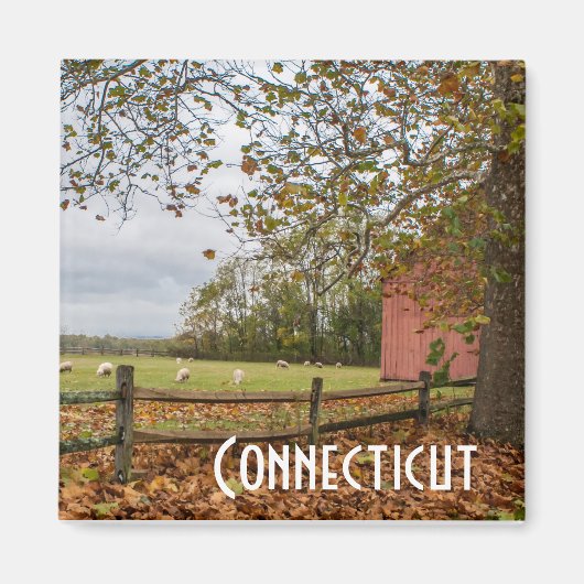 Connecticut Herfst Boerderij Magnet Magneet (Voorkant)