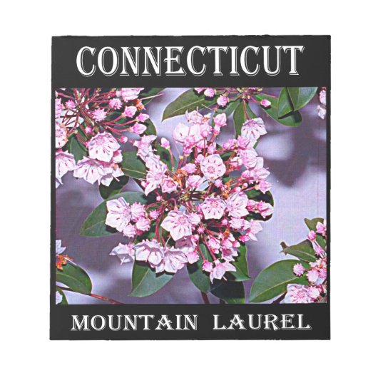 Connecticut Mountain Laurel Notitieblok (Voorkant)
