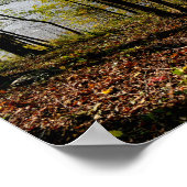 Connecticut Poster (Hoek)