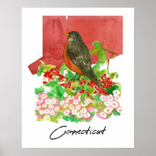 Connecticut Staatsroodborst Vogel Rode Waterverf  Poster