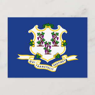 Connecticut Staatsvlag Briefkaart