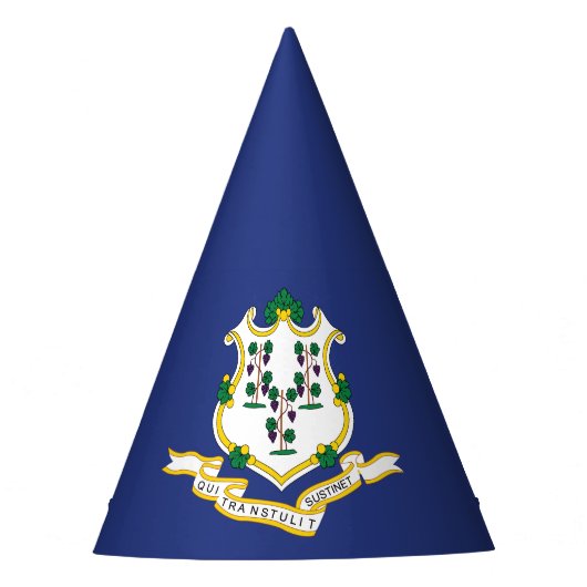 Connecticut Staatsvlag Feesthoedjes (Voorkant)