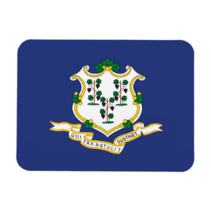Connecticut Staatsvlag Magneet