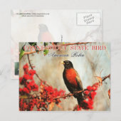 Connecticut State Bird - American Robin Briefkaart (Voorkant / Achterkant)