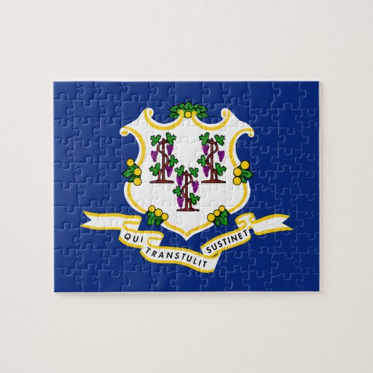 Connecticut State Flag 8x10 Legpuzzel (Horizontaal)