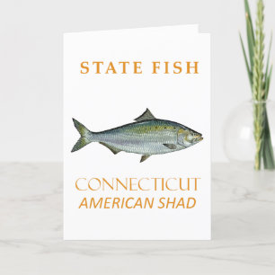 Connecticut Territory Fish The Amerikaanse Elft Feestdagen Kaart