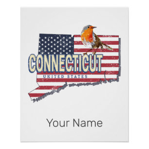 Connecticut Verenigde Staten retro state kaart Perfect Poster