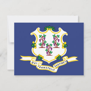 Connecticut Vlag Souvenir Nutmeg Staat Schild Briefkaart