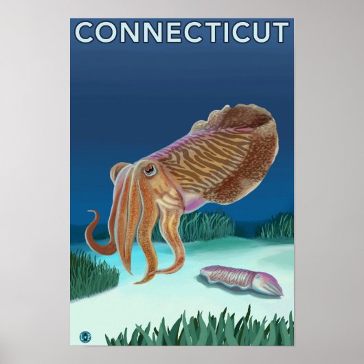 ConnecticutCuttlefish Scene Poster (Voorkant)