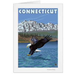 ConnecticutEagle Gevist