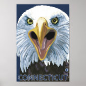 ConnecticutEagle Up Sluiten Poster (Voorkant)