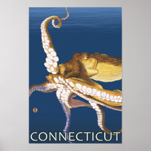 ConnecticutOctopus Scene Poster