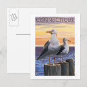 ConnecticutSea Gulls Scene Briefkaart (Voorkant / Achterkant)