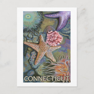 ConnecticutTidepool-scène Briefkaart