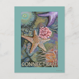 ConnecticutTidepool-scène Briefkaart