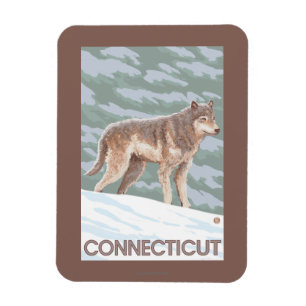 ConnecticutWolf Scene Magneet