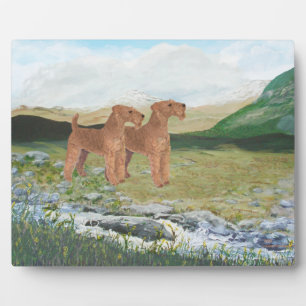 Connemara Countryside Fotoplaat