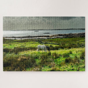 Connemara pony's Galway Ierland. Legpuzzel