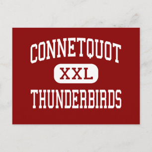Connetquot - Thunderbird - High - Bohemia Briefkaart
