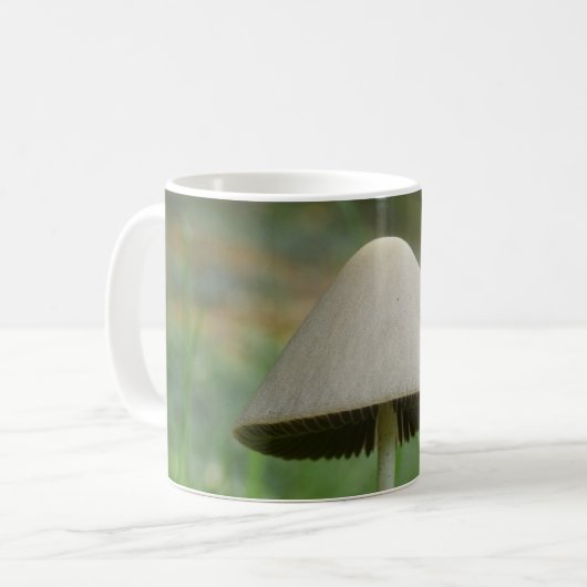 Conocybe rickenii Mug de champignons (Devant gauche)