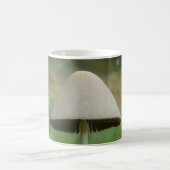 Conocybe rickenii Mug de champignons (Centre)