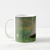 Conocybe rickenii Mug de champignons (Gauche)