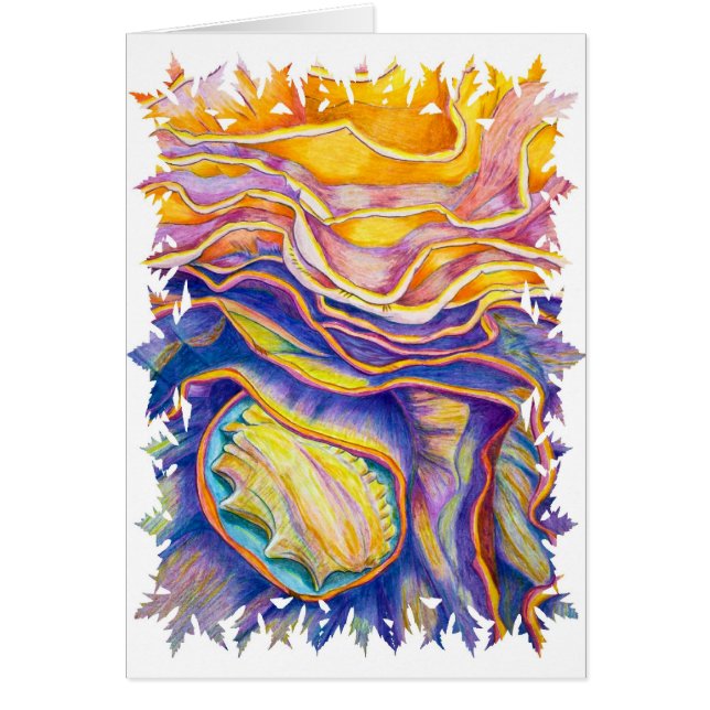 Conque Shell (Devant)