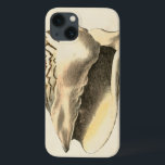 Conque vintage Shell de sépia<br><div class="desc">Vous pouvez entendre l'océan des ces coquillage de conque bruyant et clair ! Si vous êtes soumis à une contrainte, décrivez-vous sur la plage sablonneuse chaude. Ces le coquillage de conque sont un grand ?uvre d'art avec un arrière - plan de sépia pour faire l'image se tenir pour être plus...</div>