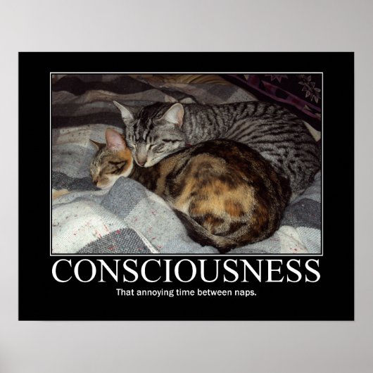 Consciousness..That Annoying Time Cat Artwork Poster (Voorkant)