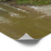 Conseil D'Une Affiche D'Alligator (Coin)