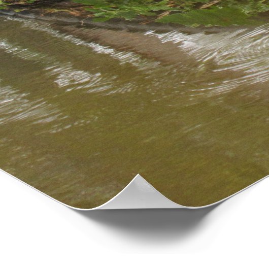 Conseil D'Une Affiche D'Alligator (Coin)