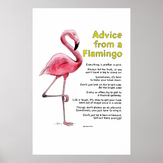 Conseil d'une affiche de Flamant rose (Devant)