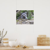 Conseil D'Une Poster Raccoon (Cuisine)