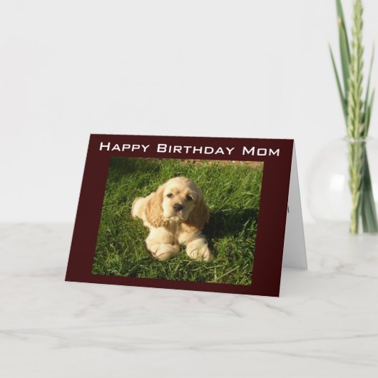 CONSEILS POUR LA FÊTE DES MÈRES POUR CARTE DE FÊTE (Devant)