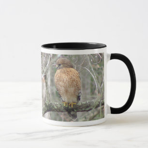 Conservation de la tasse de faucon de montre