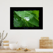 CONSERVATION DE L'EAU Poster Éco de la feuille de  (Cuisine)